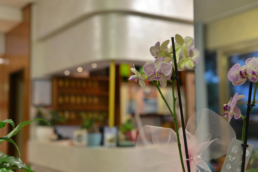 Hotel Marselli Rimini Dış mekan fotoğraf